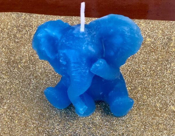 Casa Daisy: elefante