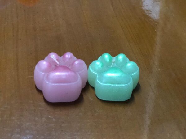 Casa Daisy: patas de perro