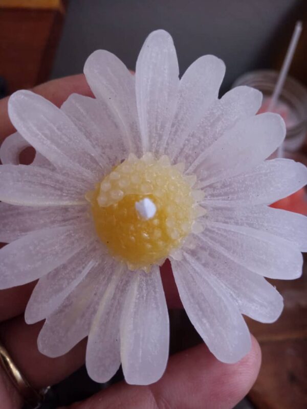 Casa Daisy: velas margarita