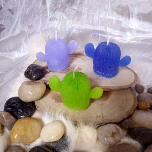 Casa Daisy: velas de cactus