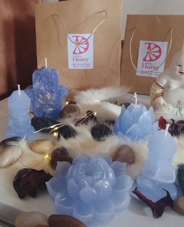 Colección holística