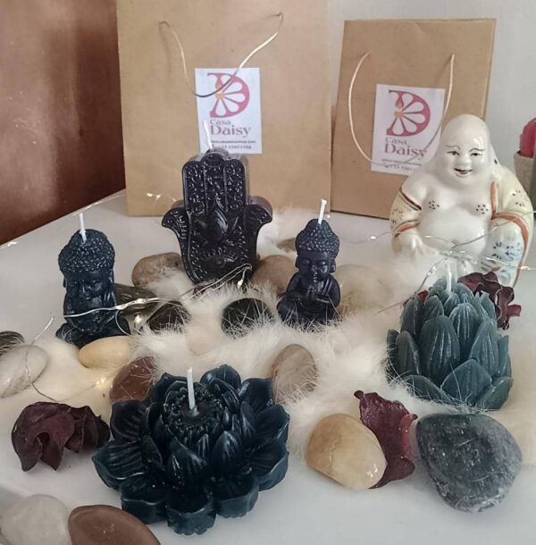 Colección holística