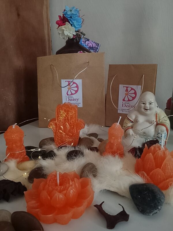 Colección holística