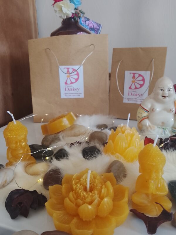 Colección holística