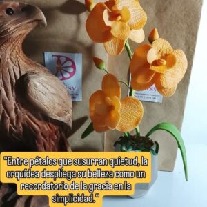 Orquídeas en maceta