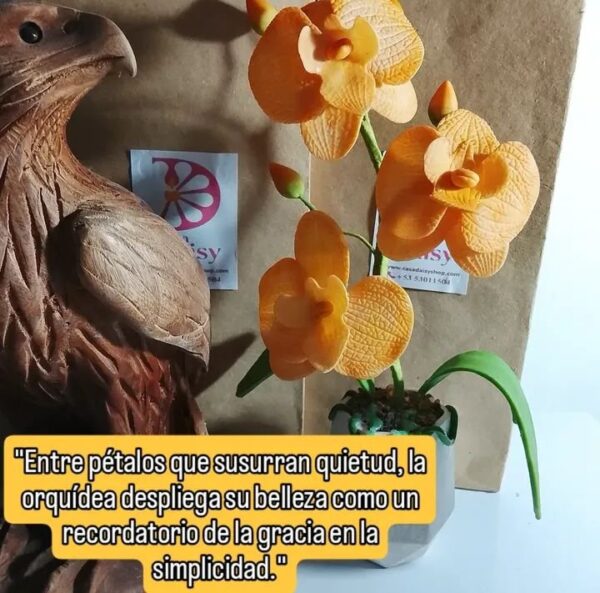 Orquídeas en maceta