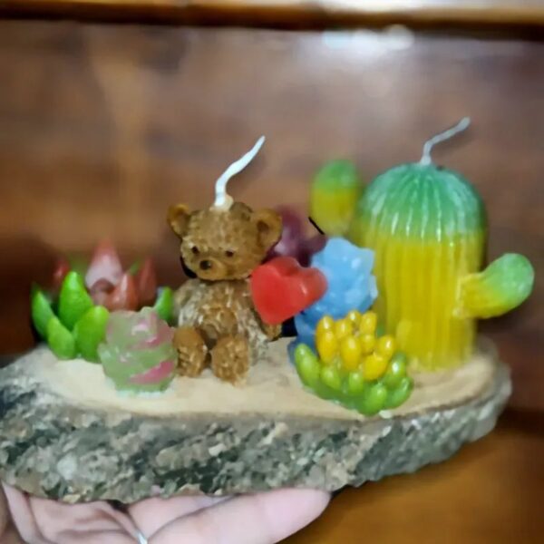 Jardín de Suculentas