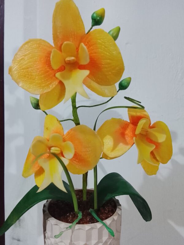 Orquídea mediana en maceta grande